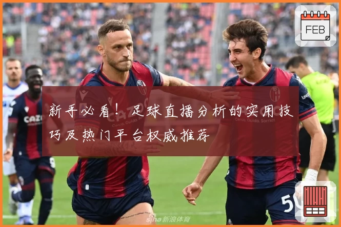 新手必看！足球直播分析的实用技巧及热门平台权威推荐